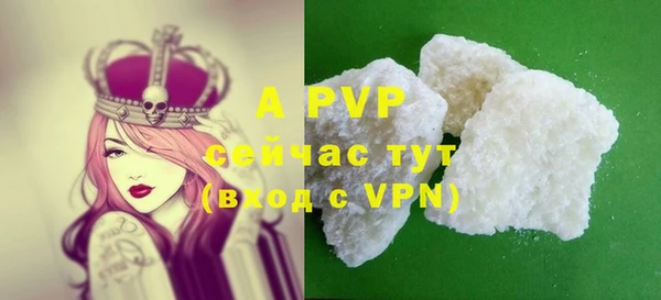 стафф Богородицк